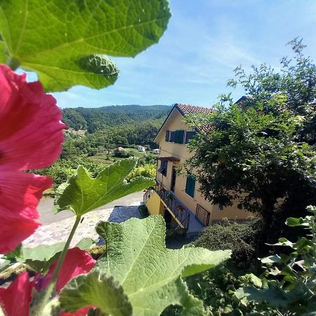 La Valle Fiorita Soviore 外观 照片