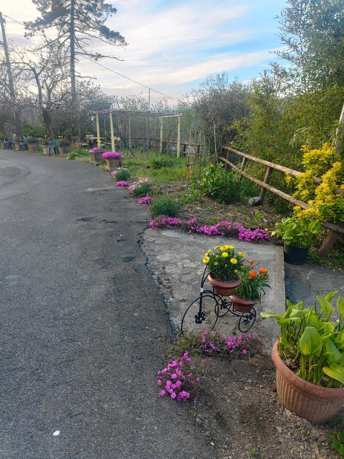 La Valle Fiorita Soviore 外观 照片