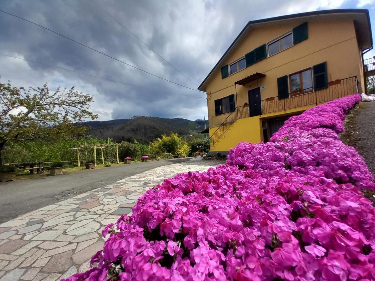 La Valle Fiorita Soviore 外观 照片