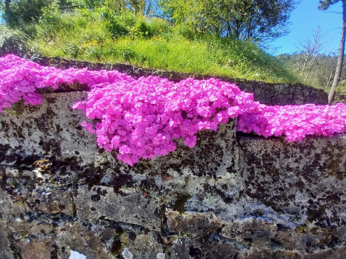 La Valle Fiorita Soviore 外观 照片