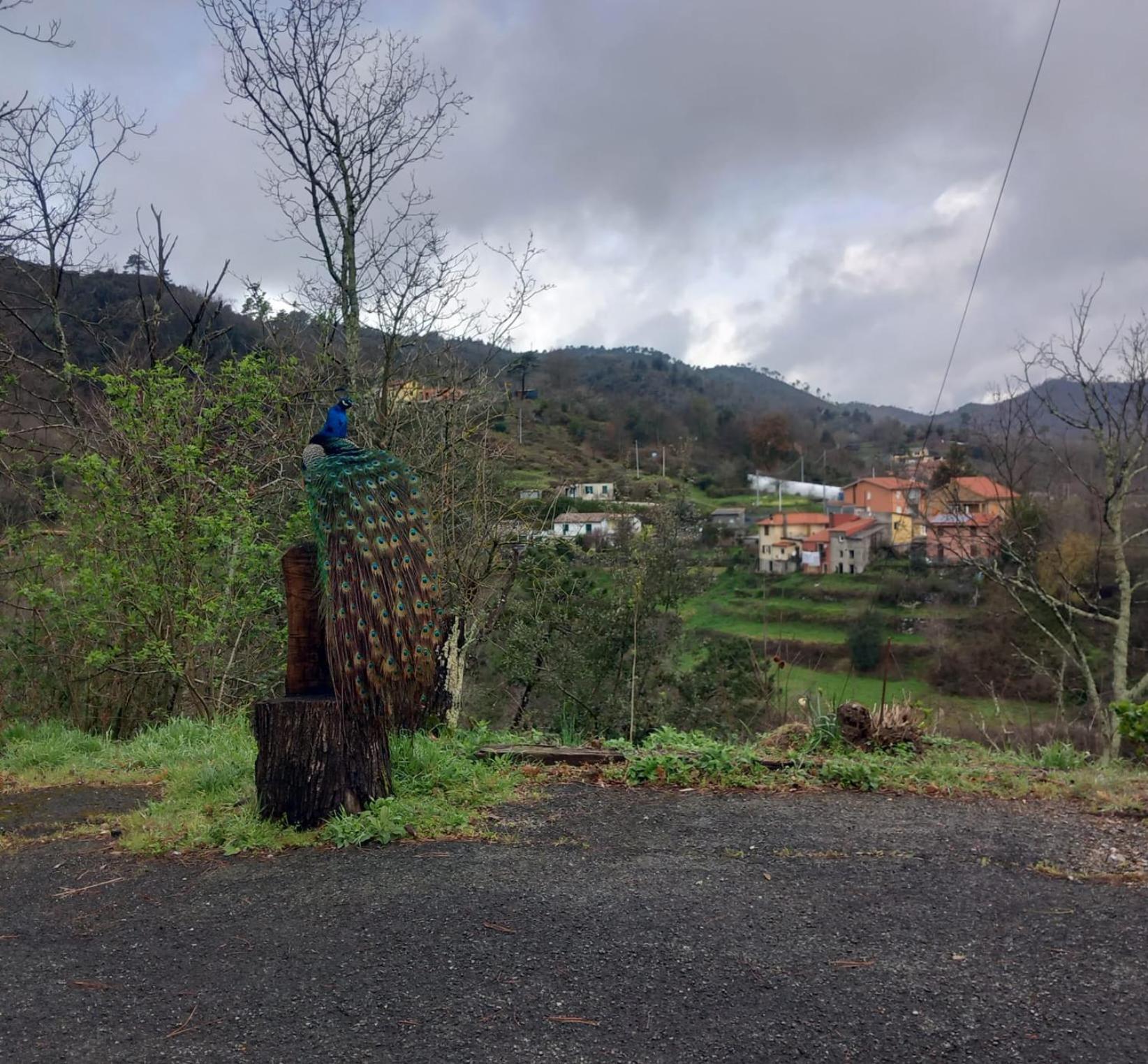 La Valle Fiorita Soviore 外观 照片