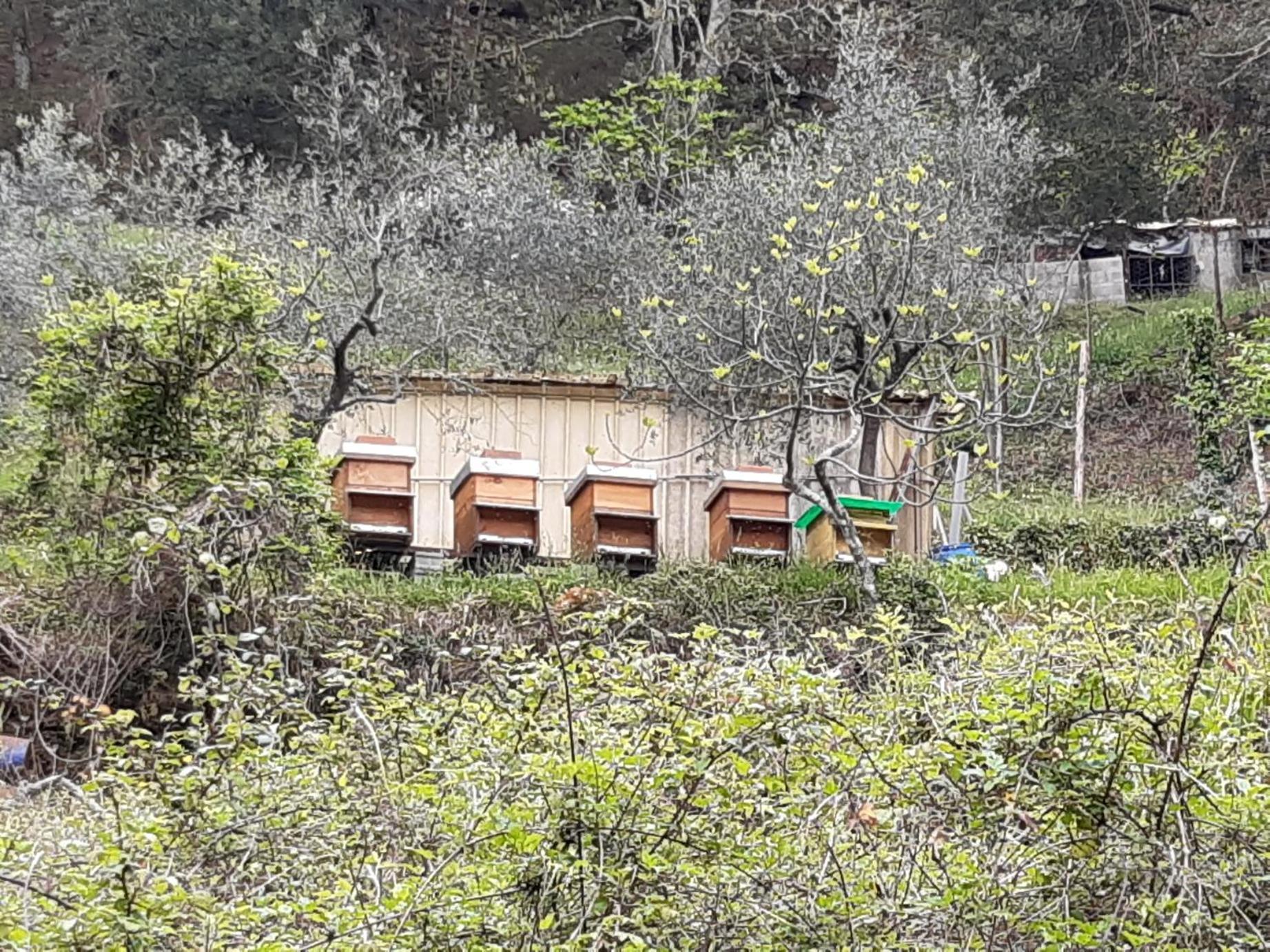 La Valle Fiorita Soviore 外观 照片