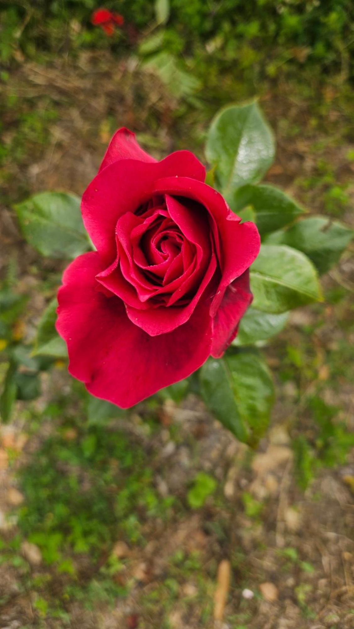 La Valle Fiorita Soviore 外观 照片